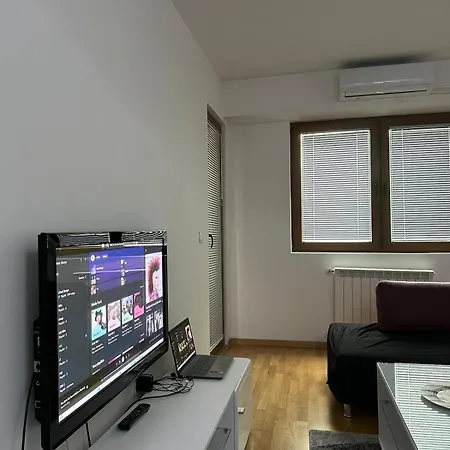 Fine Apartment *